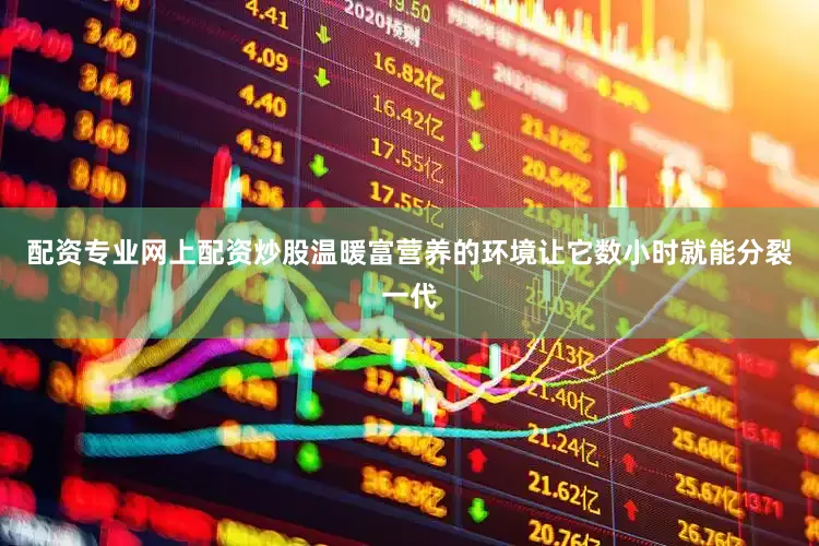 配资专业网上配资炒股温暖富营养的环境让它数小时就能分裂一代